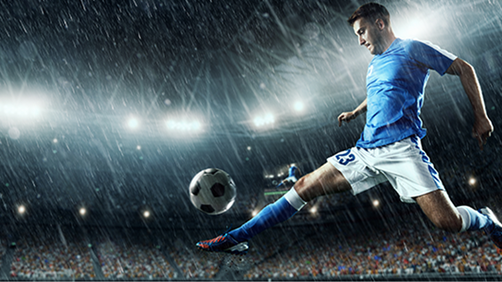 Online Supports Betting